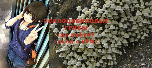 мдпв Краснотурьинск